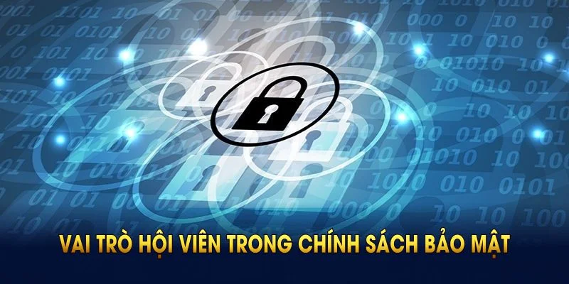 Vai trò hội viên trong chính sách bảo mật Bongdaso luôn được đề cao